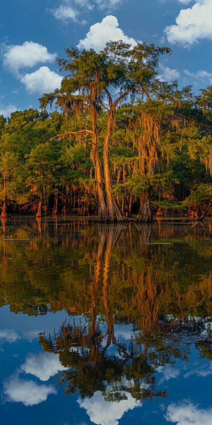 caddo5